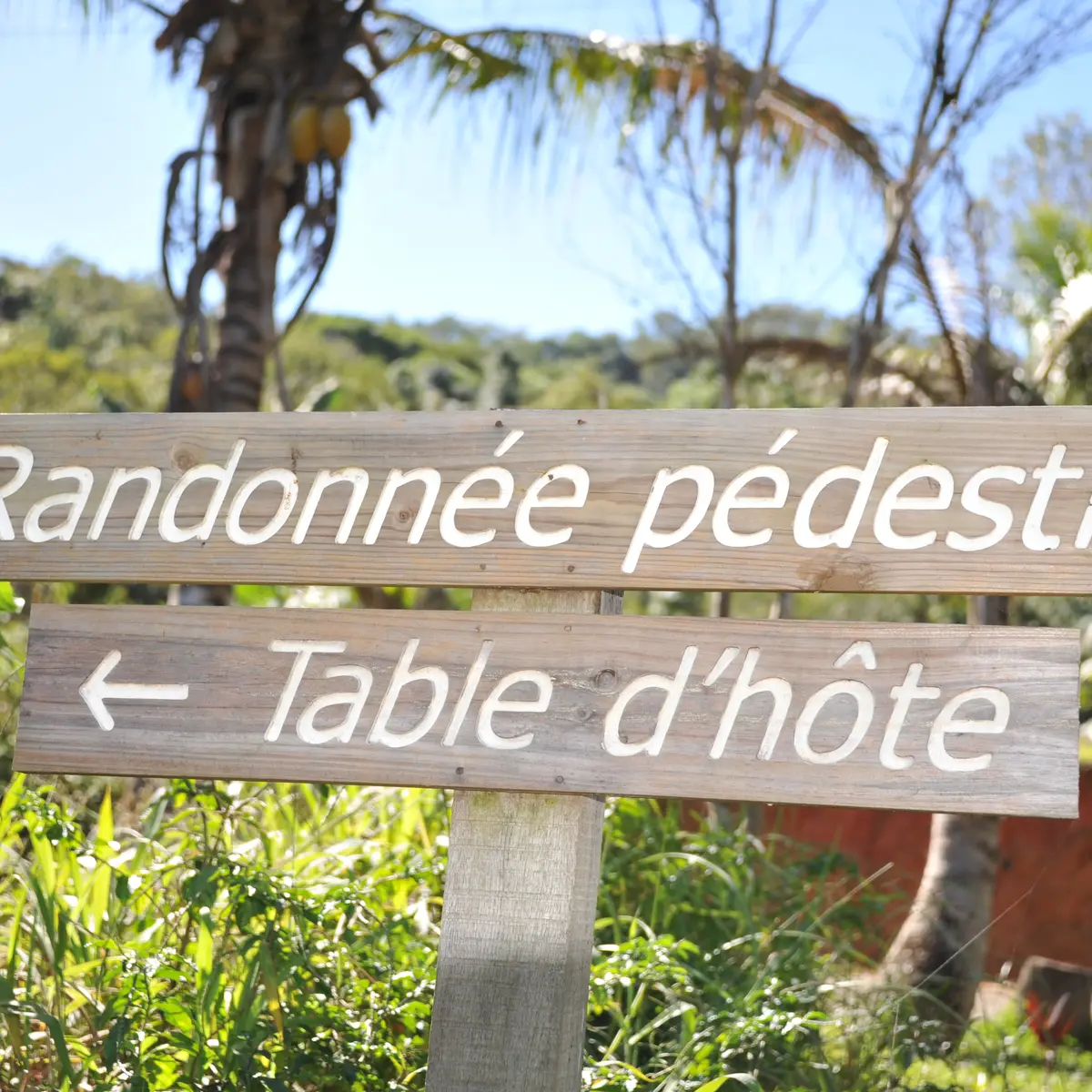 Accueil Chez Hélène