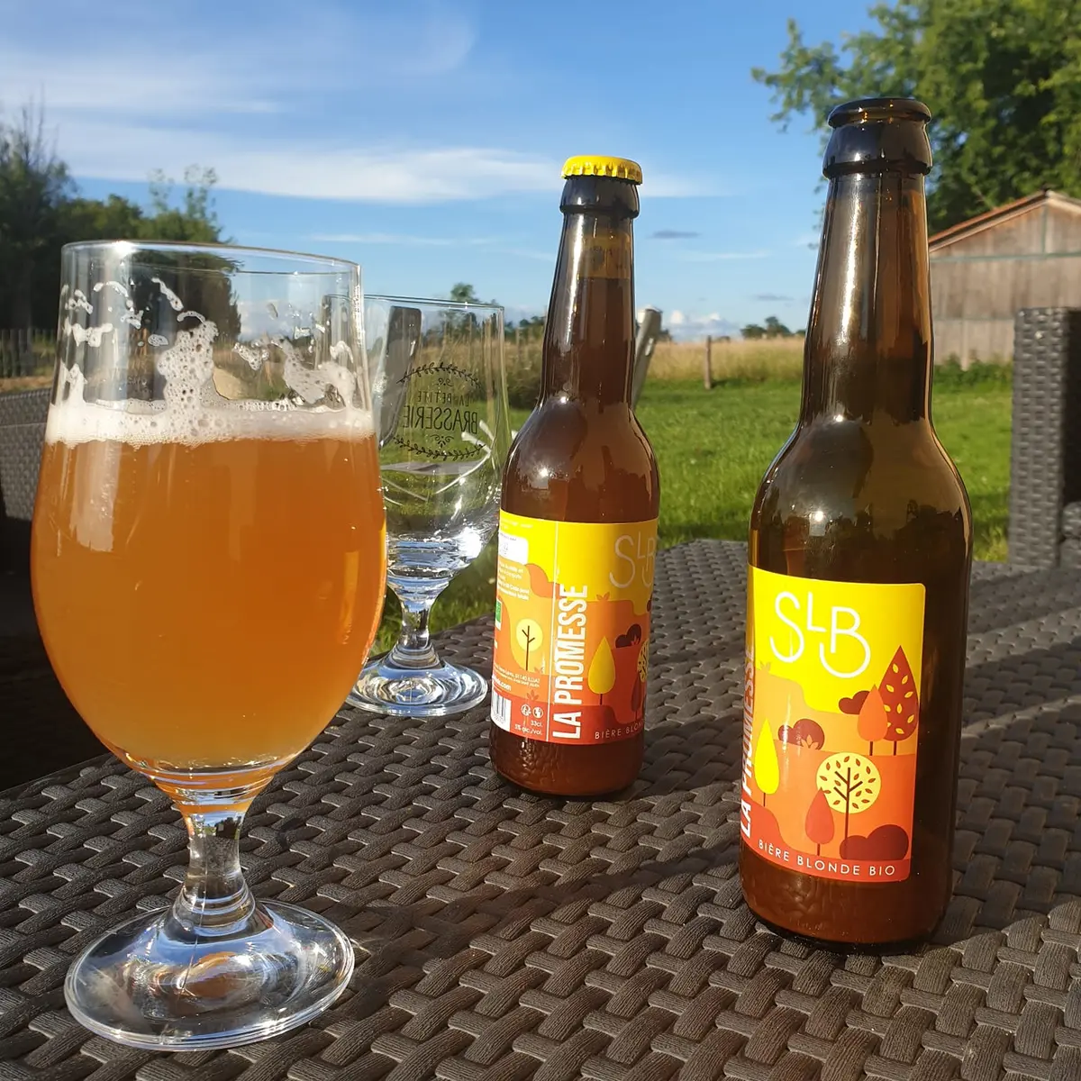 Un verre et deux bouteilles de bière