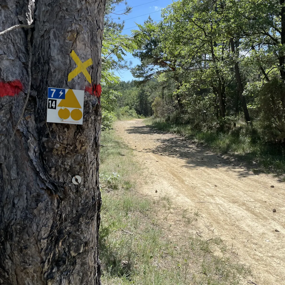 Balade des Bruyères