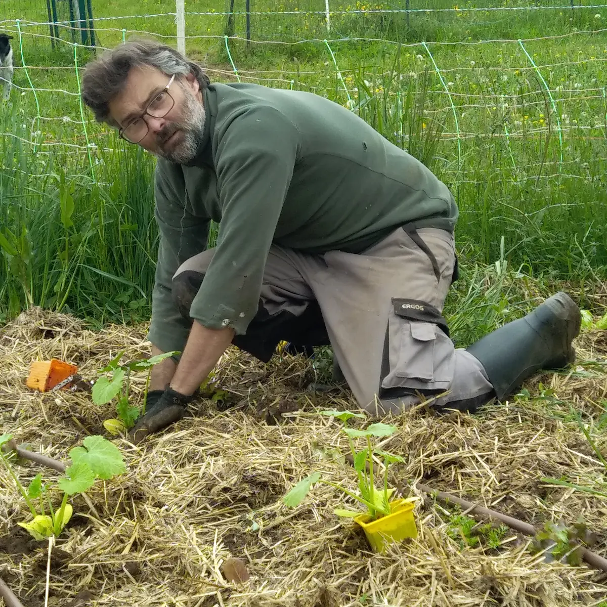 La ferme des Soldanelles