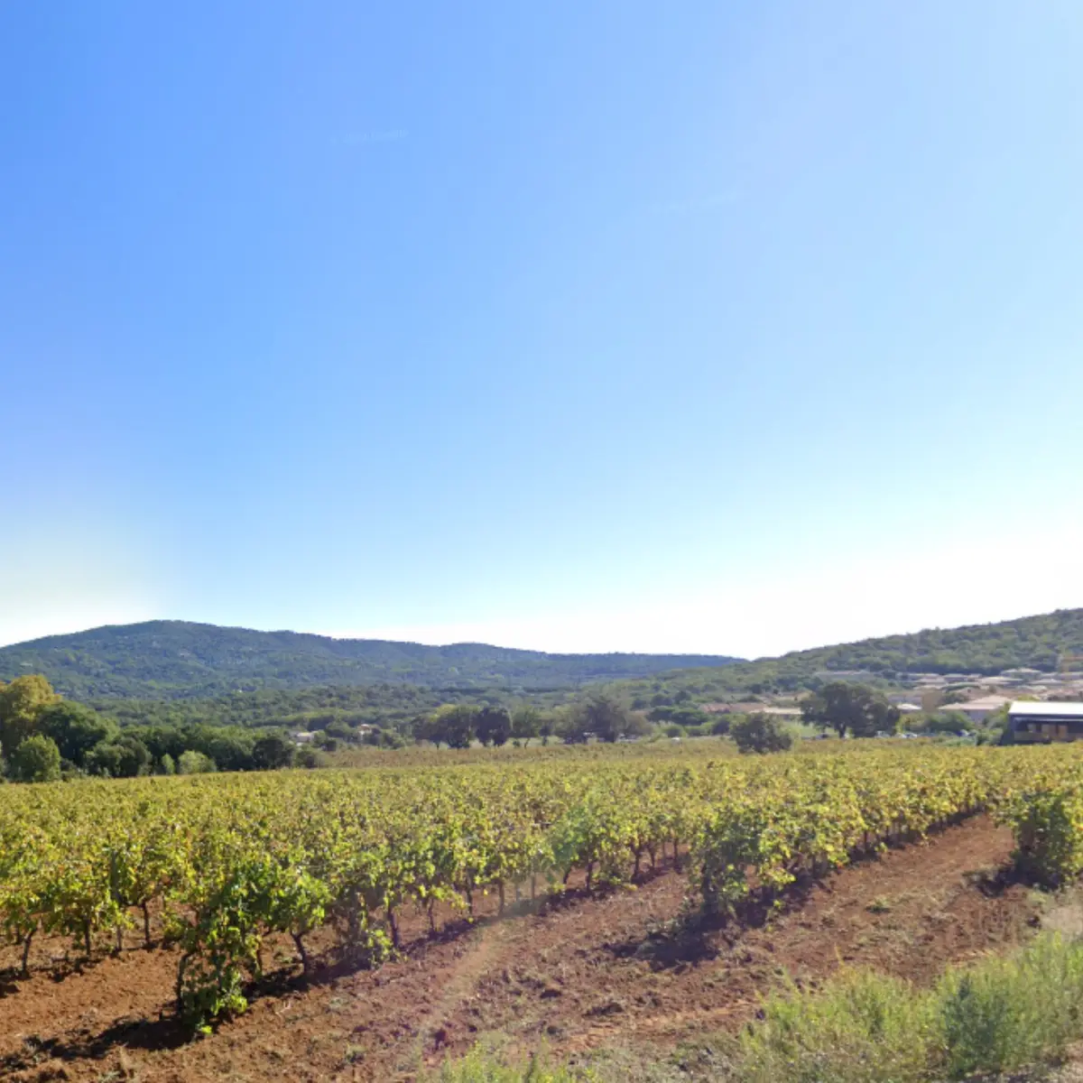 Point de vue
