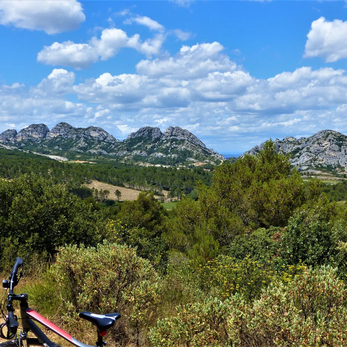 Vue sur la crête des Alpilles