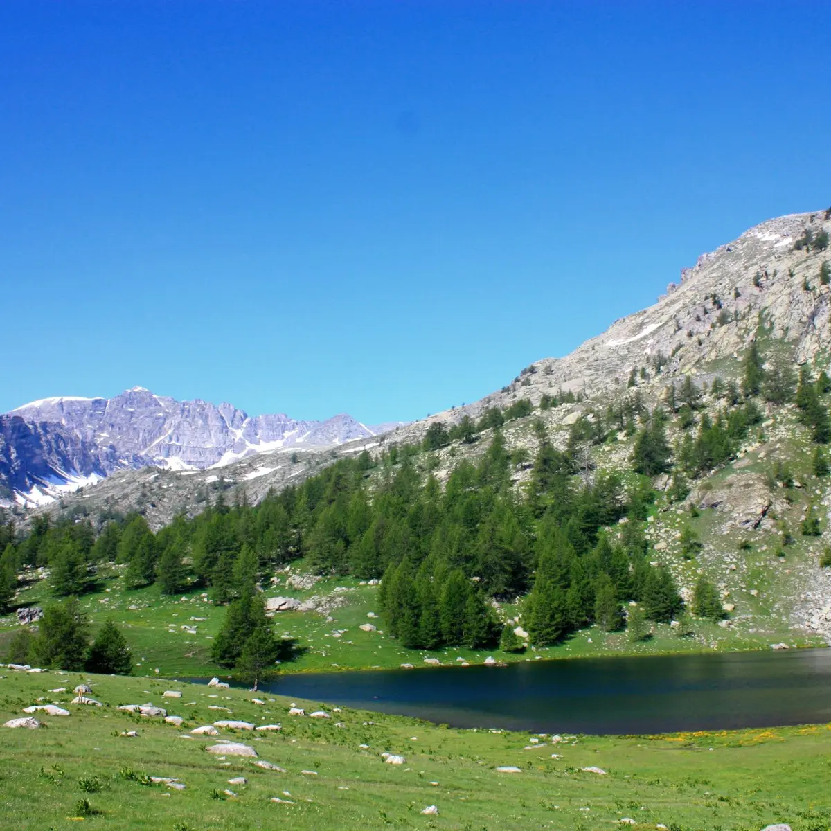 Lac