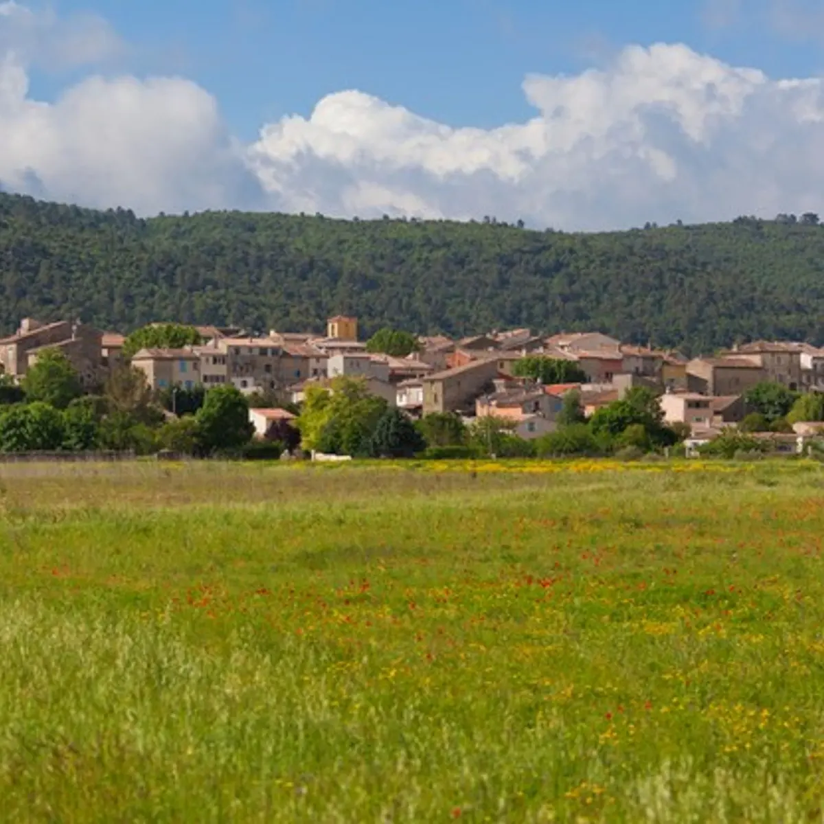 Le village de Néoules