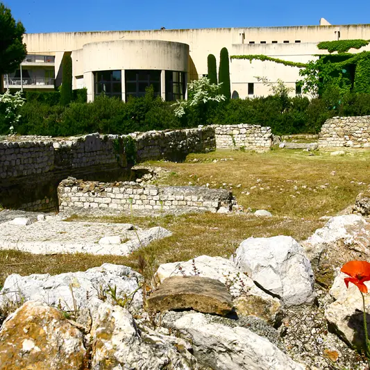 Vue du site archéologique