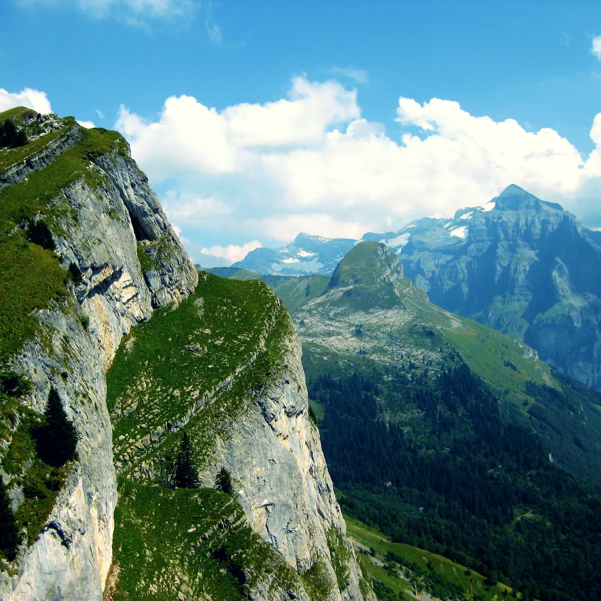 Panorama