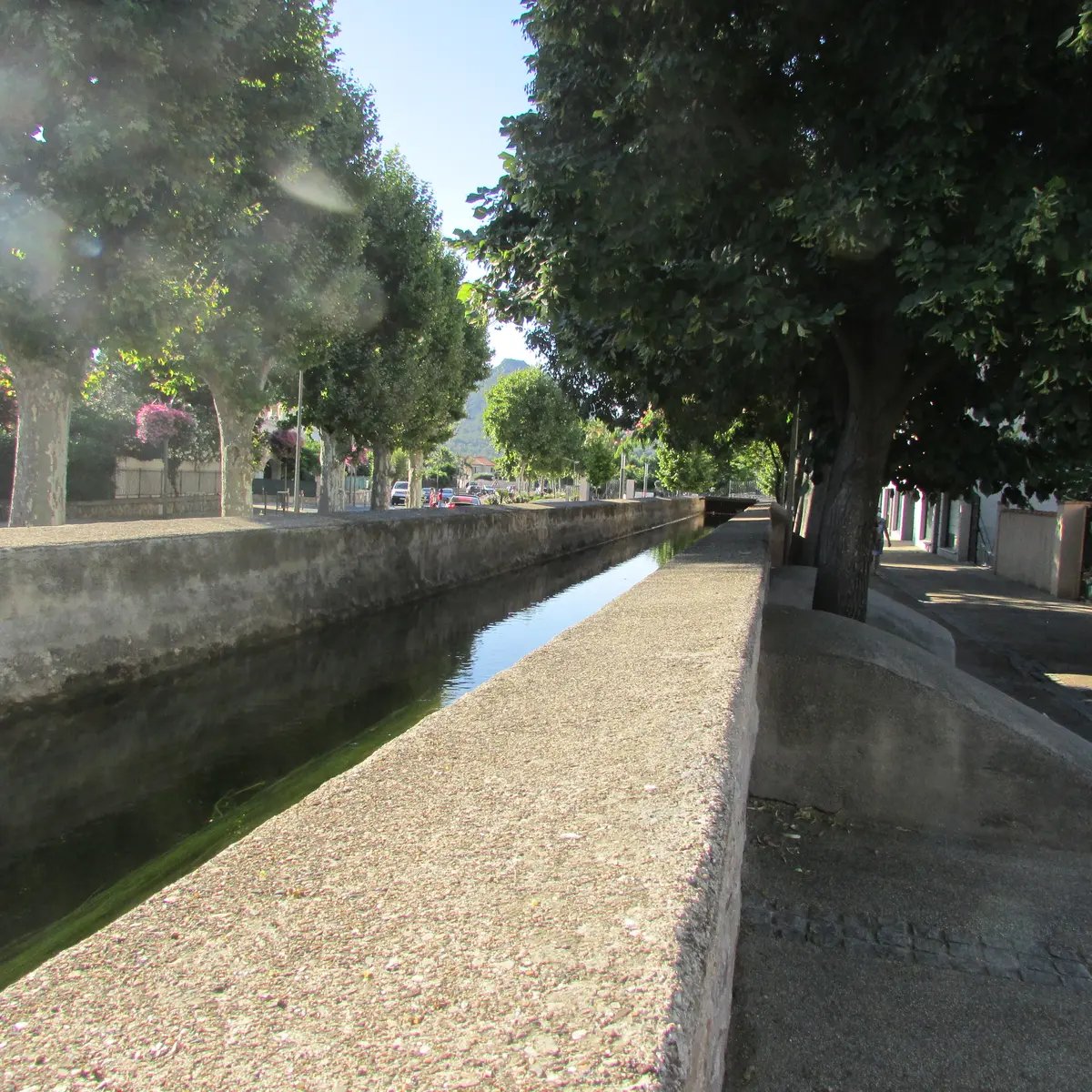 Le canal Jean Natte à La Crau