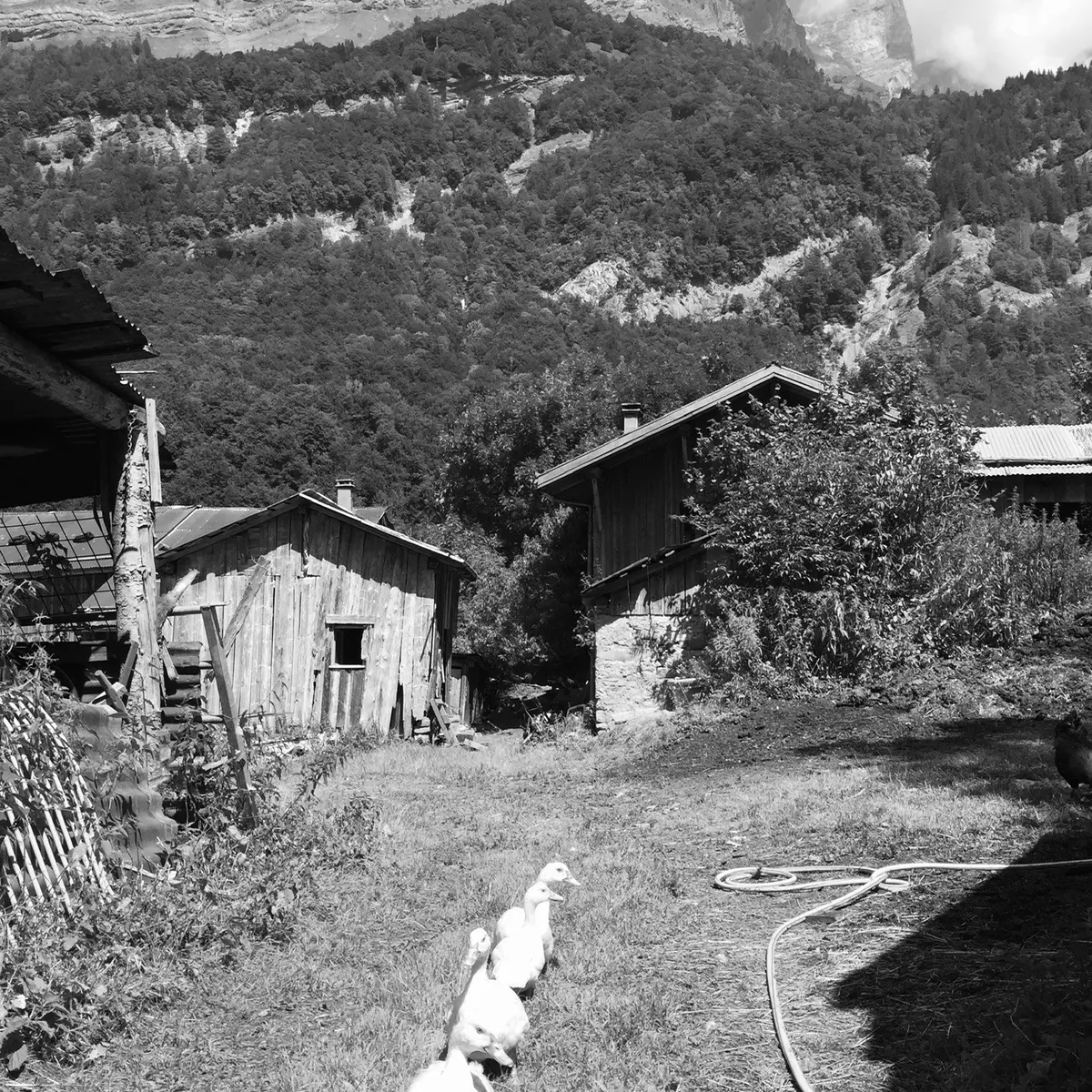 Visite de ferme poétique et contes