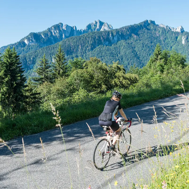 Col du Grand Taillet coté La Forclaz