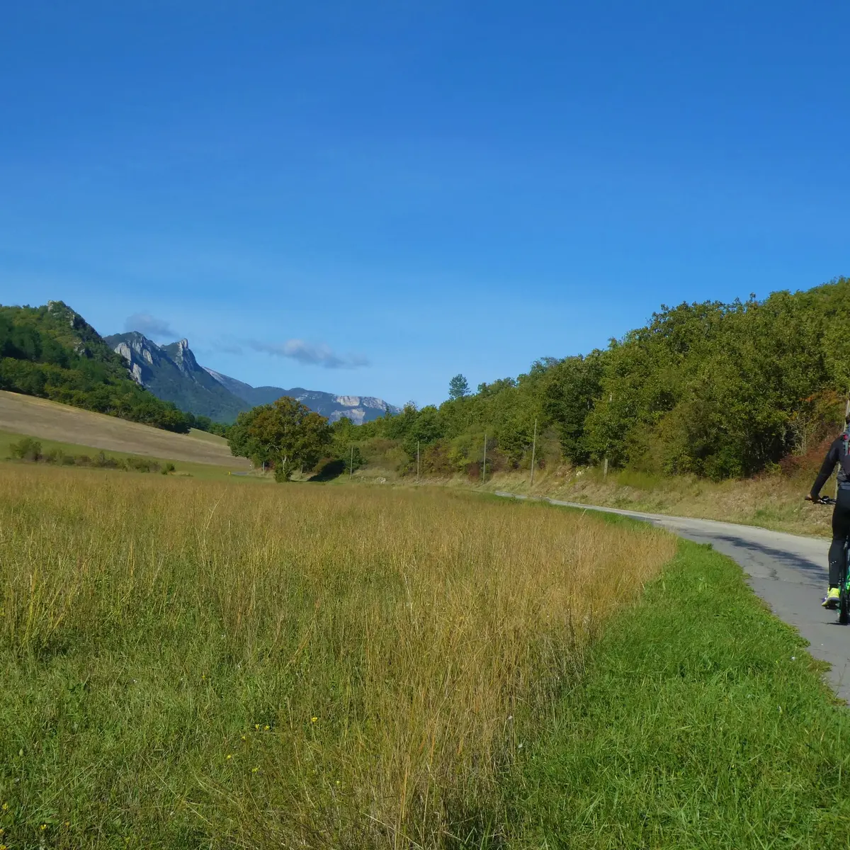 Petite route paisible