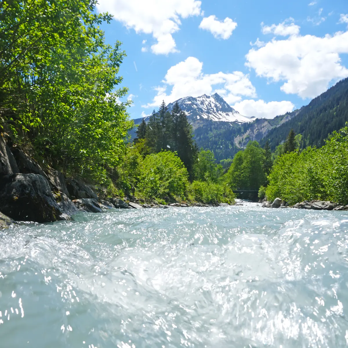 Le Bonnant et l'Aiguille de Roselette