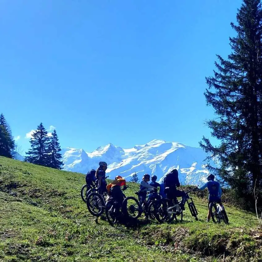VTT