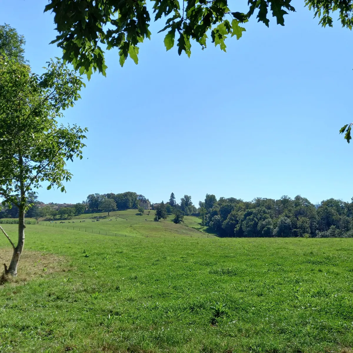 Vue sur la campagne - Chevrières
