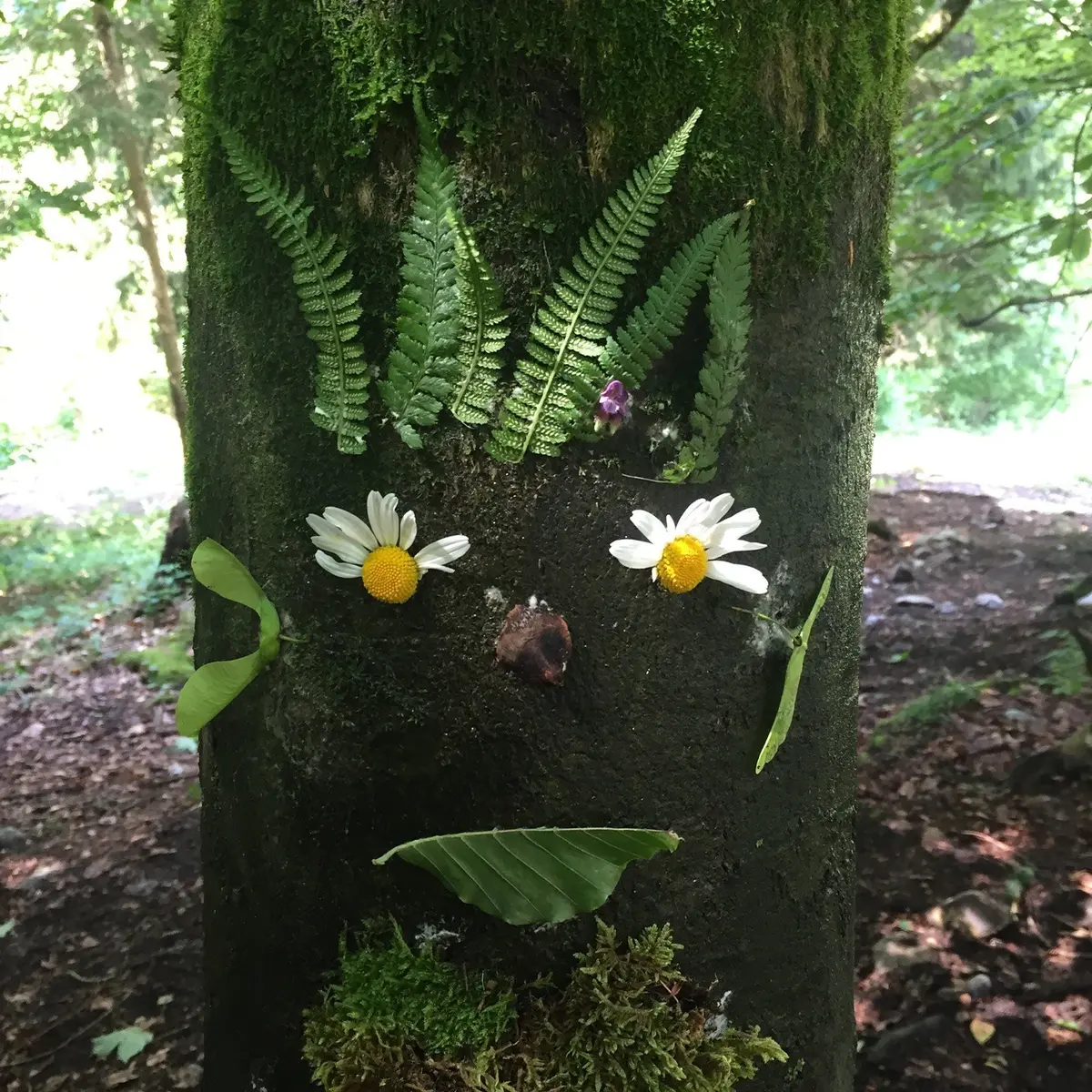 Balades nature à croquer