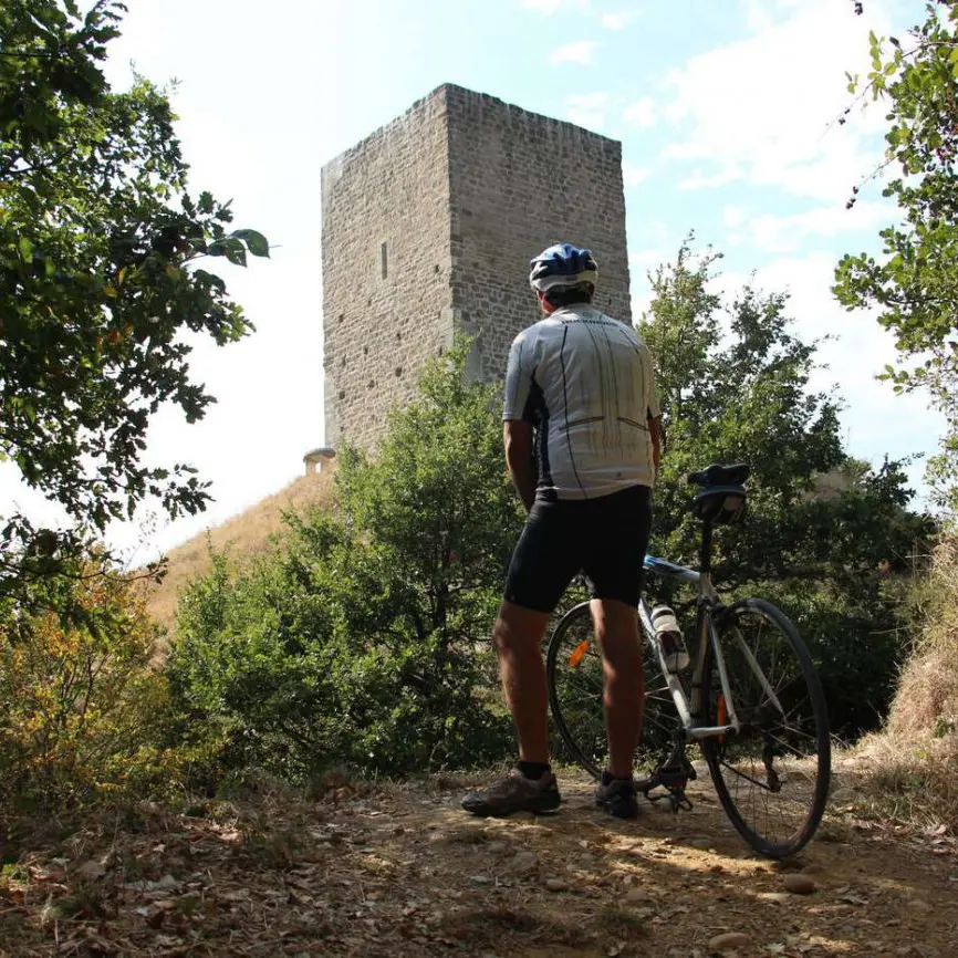 7 Les collines de la Galaure