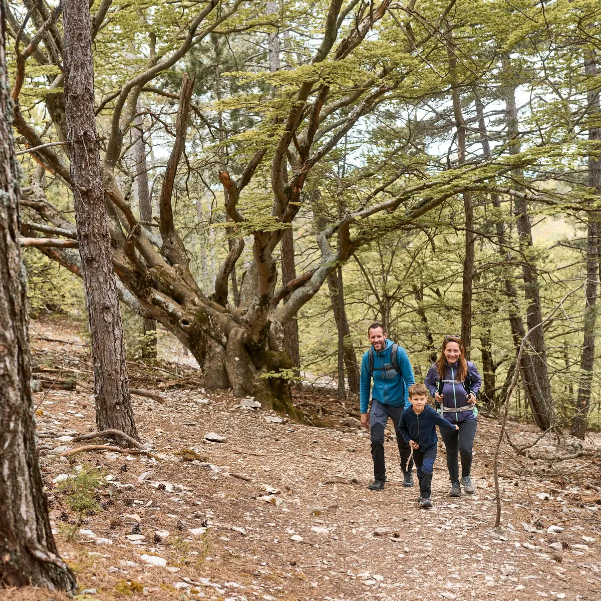 Balade familiale en forêt de Perrache