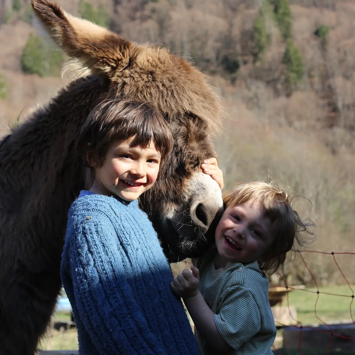 Rencontre avec les animaux de la ferme