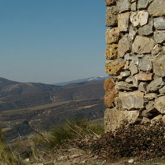 herman de vries, point, 2009, Collection Musée Gassendi