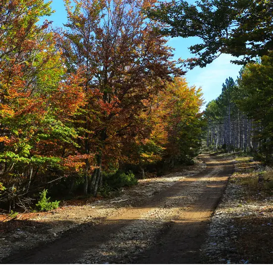 Gravel 34 la cabane du Mouflon - Ventoux