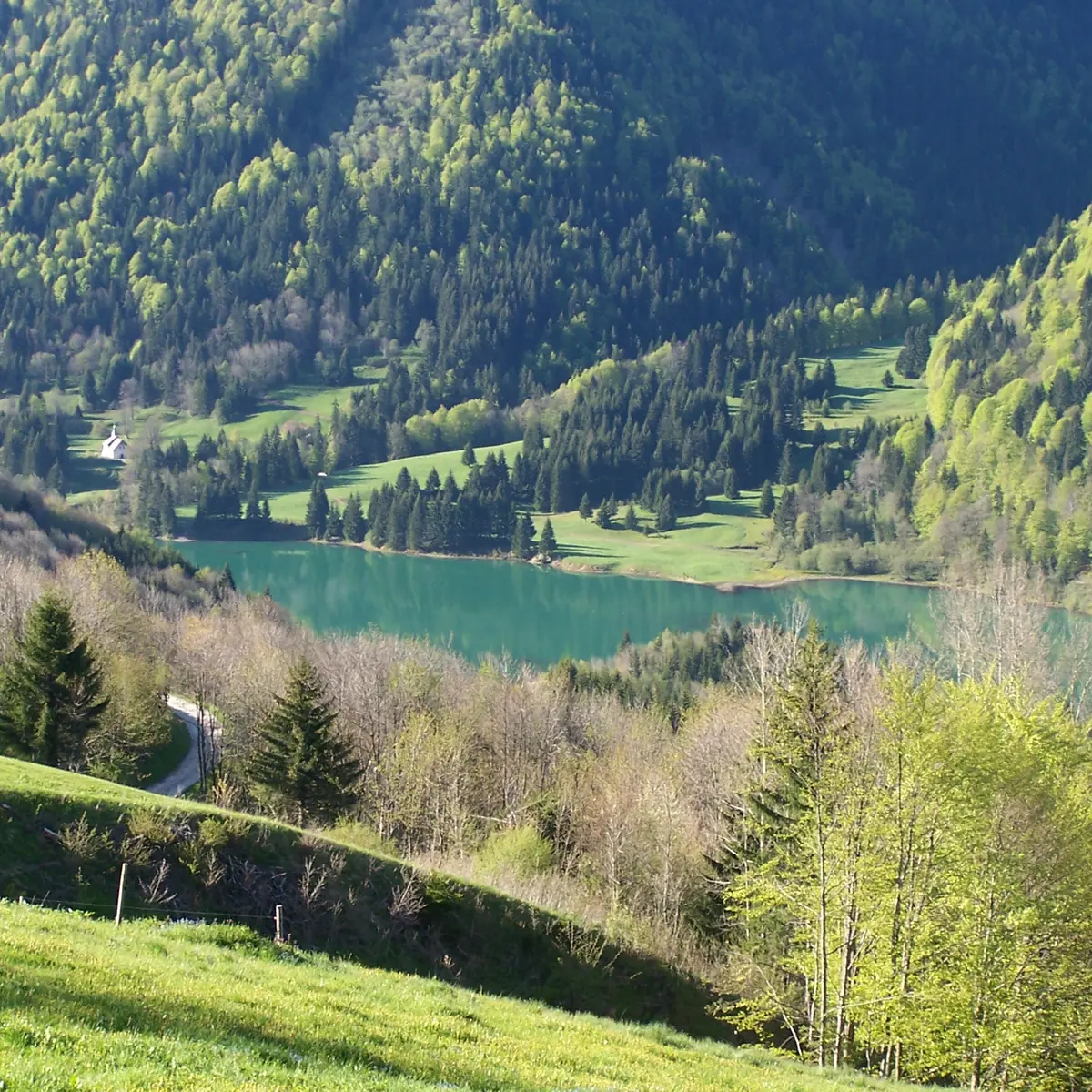 Lac de Vallon vu depuis Tré le Saix