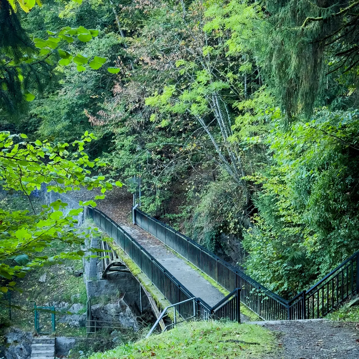 Pont vu depuis la rive gauche