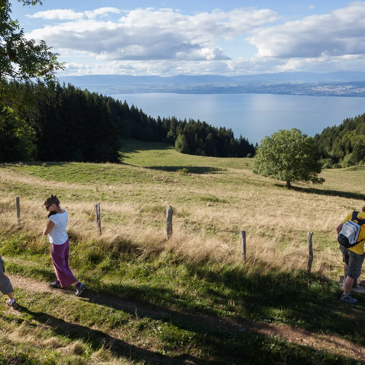 Tour du Mont Bénand randonnée pays d'Evian