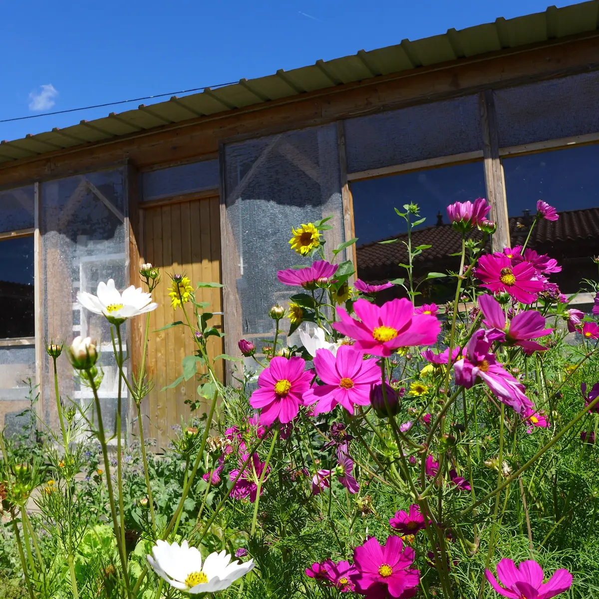 OASIS Cabane de l'apprenti Jardinier