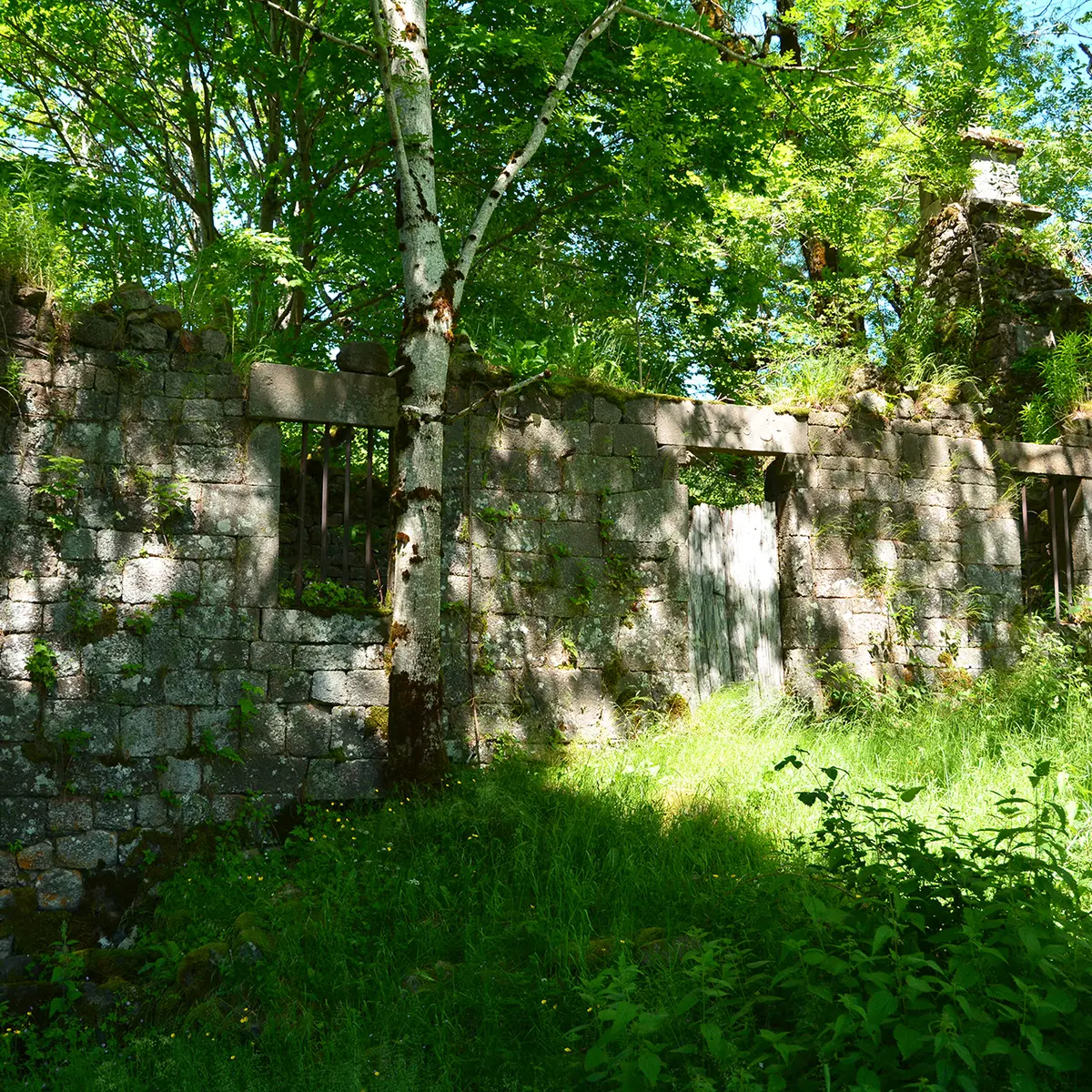 Ruine de la ferme de Bos