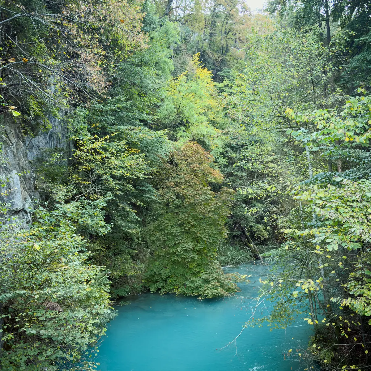 Le Bonnant en amont du pont