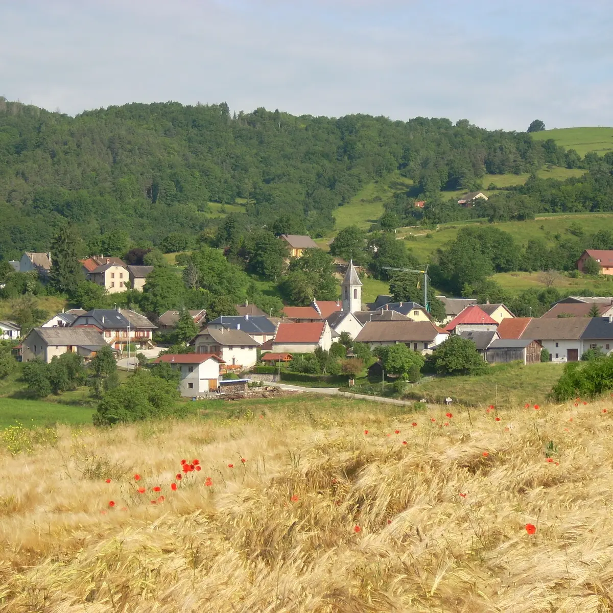 Circuit VTT Les portes de l'Albanais