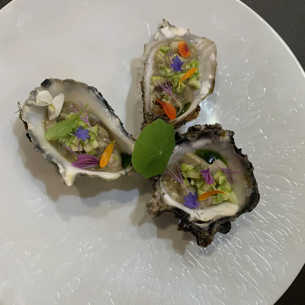 Couleurs de Shimatani