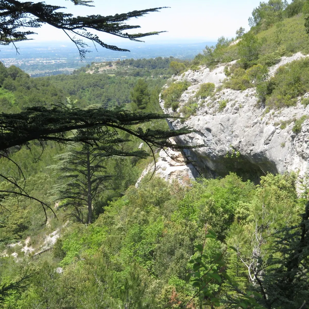 Vallon des Esperacons