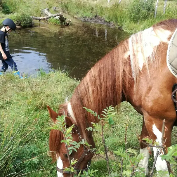 Cheval