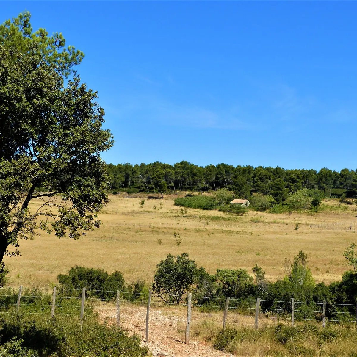 Paysage provençal aux abords du Sousteyran