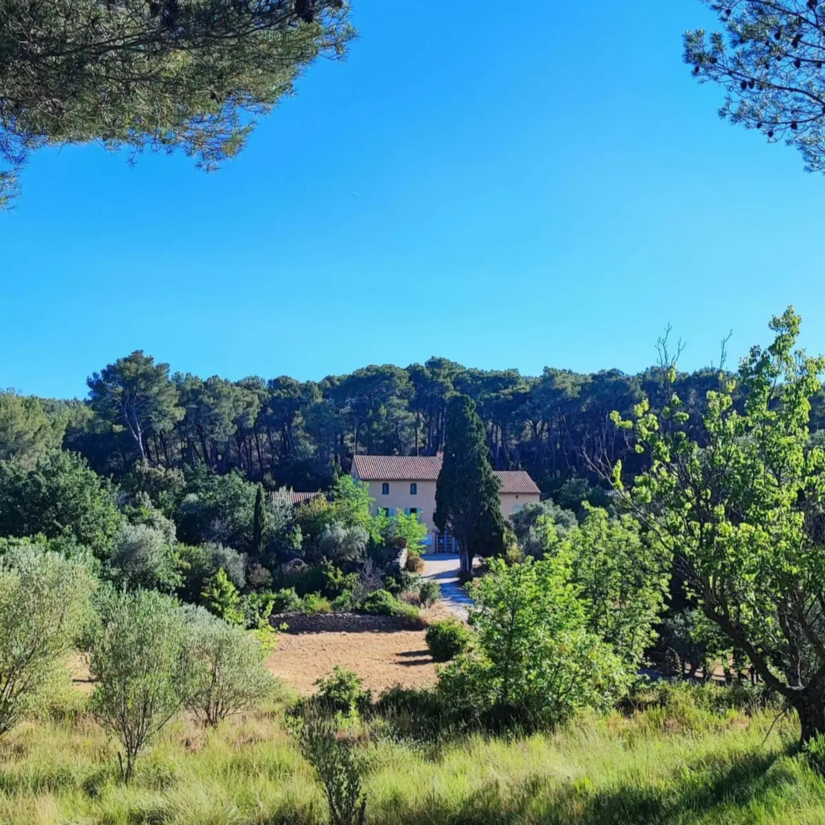 Vue sur la Maison de la Nature posée dans un écrin de verdure