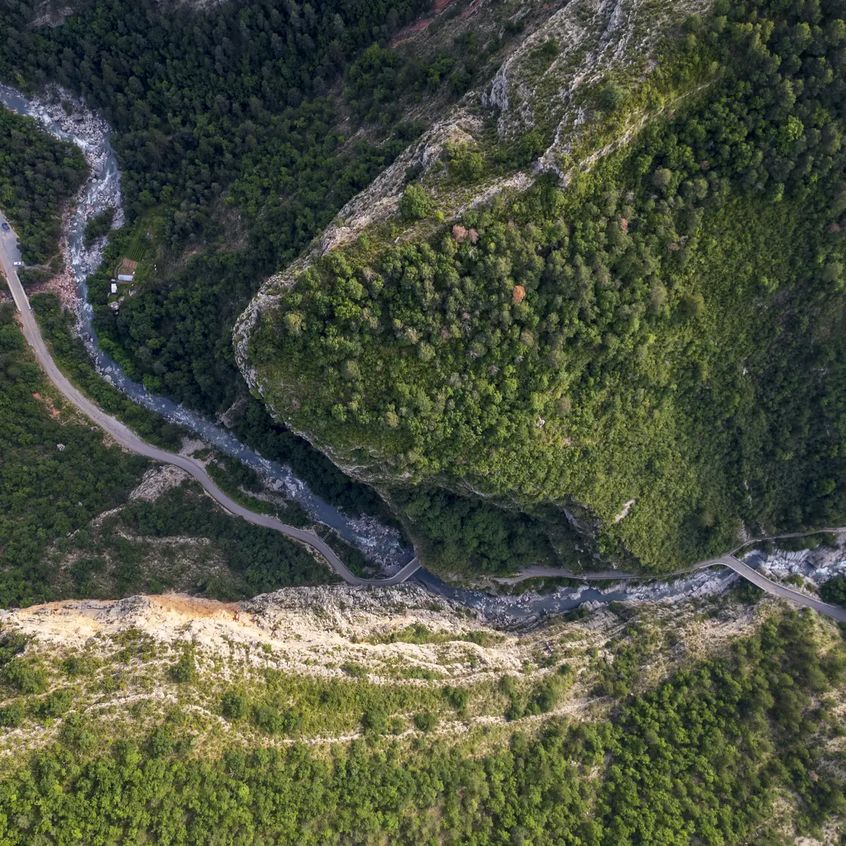 Les empreintes de pas d'oiseaux