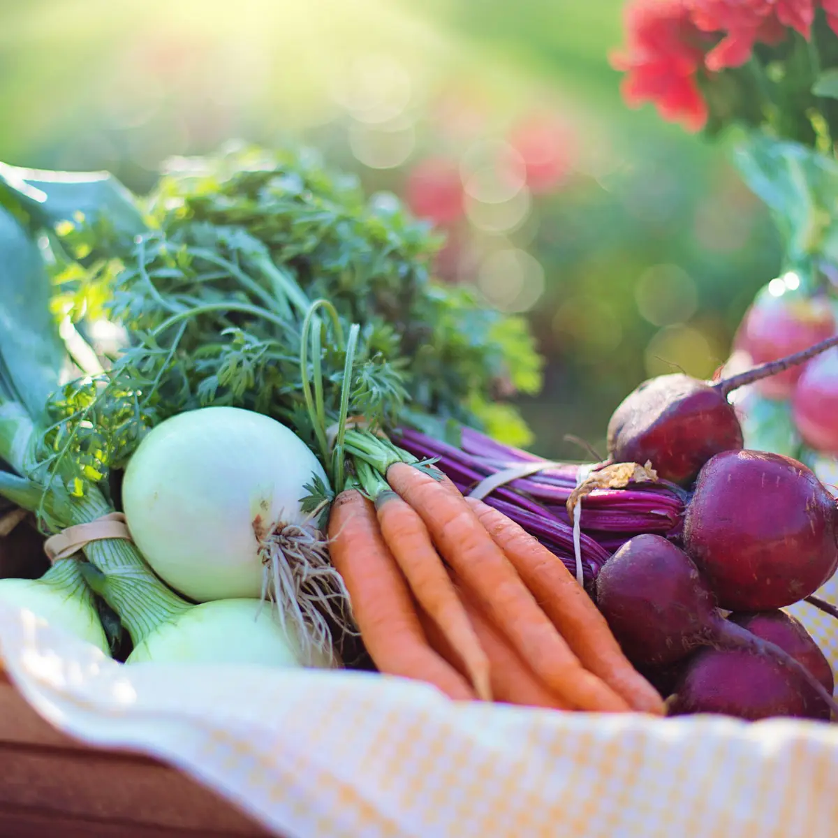 Panier de légumes, Montesson