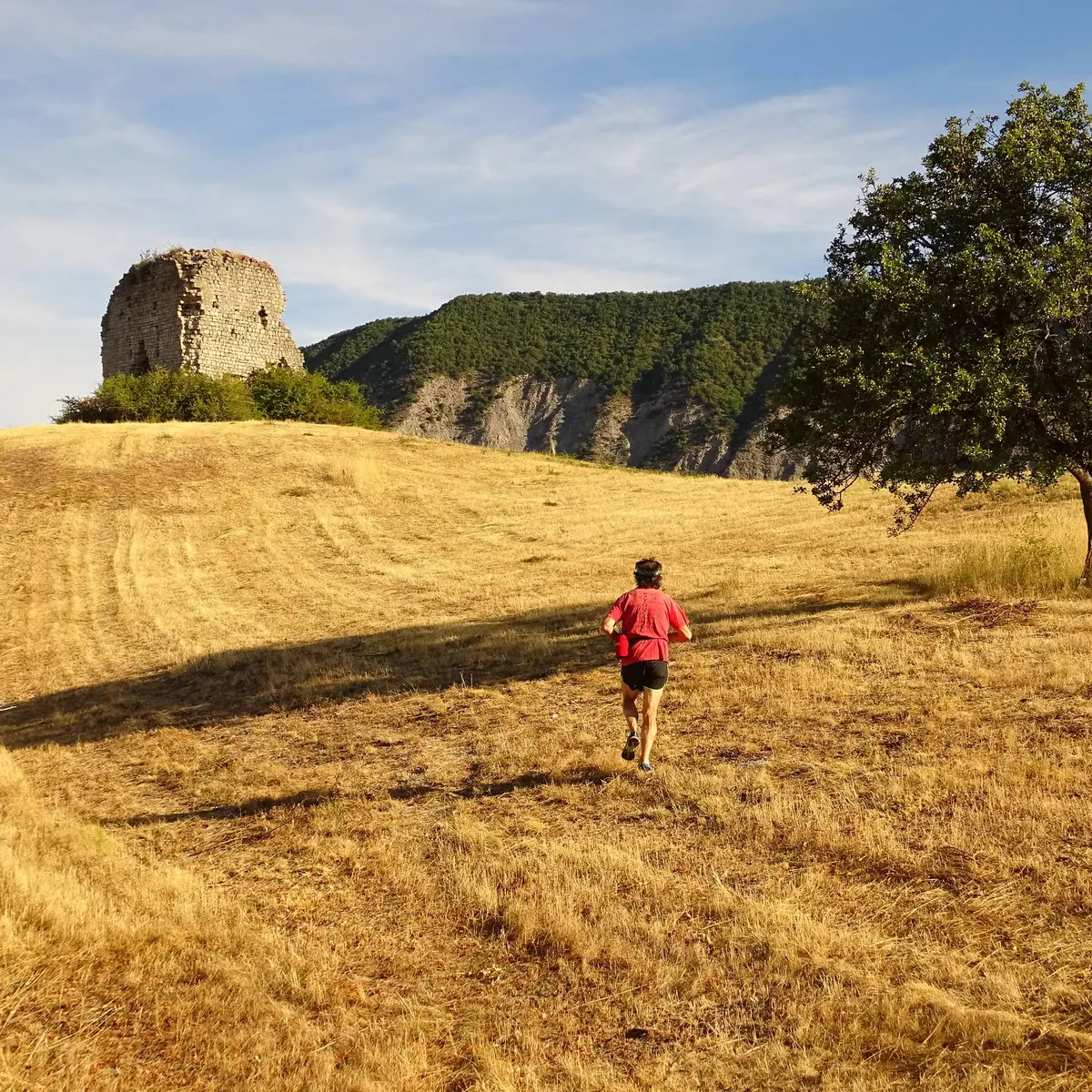 Face à la tour de Melve