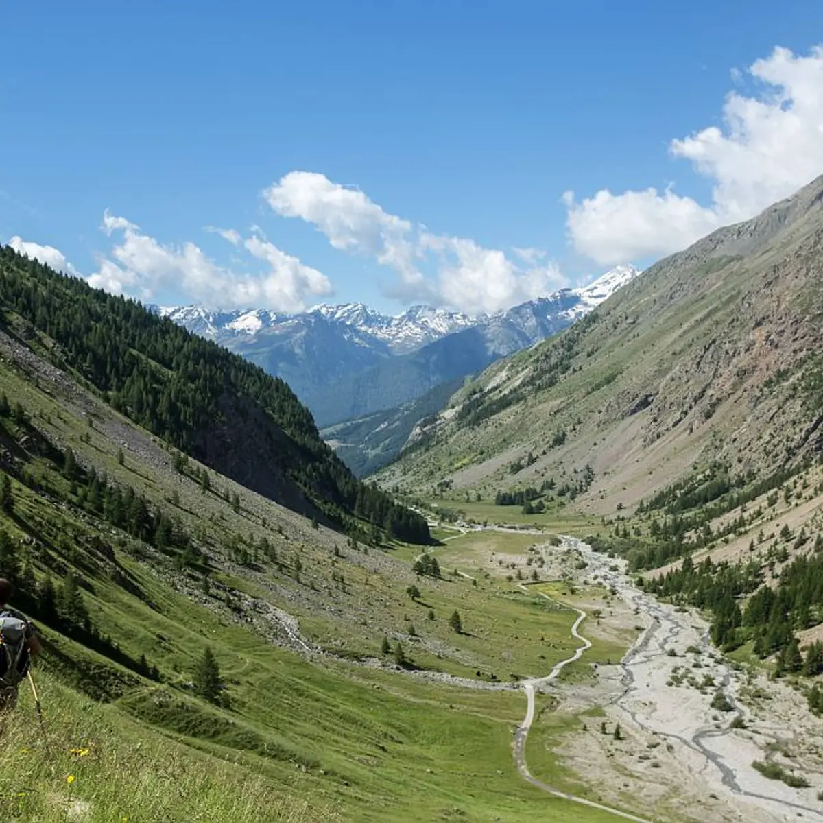 Sur le chemin du col de l'Eychauda (GR54)