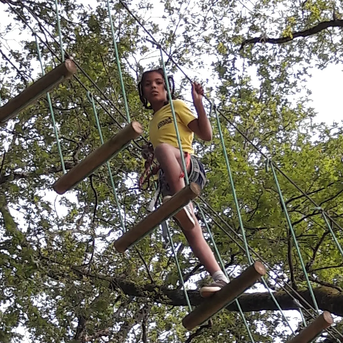 Pont de singe