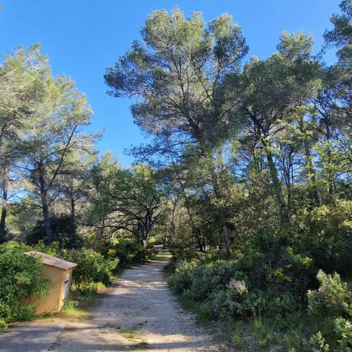 Début du sentier orné de flore méditerranéenne