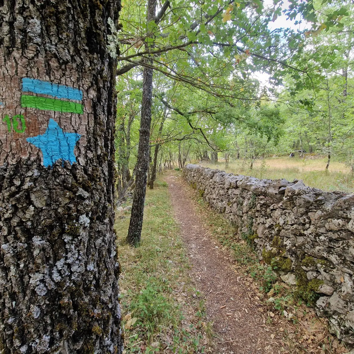 Balise étoile sur le sentier