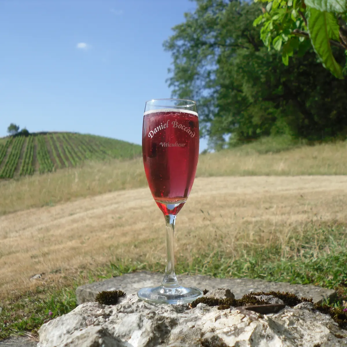 Domaine Viticole Daniel Boccard Propriétaire récoltant, Boyeux Saint Jérôme