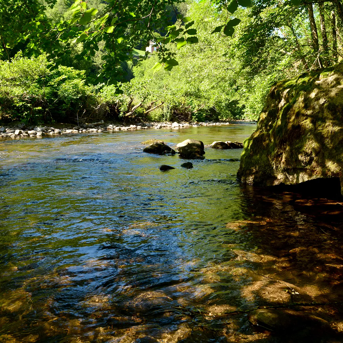 Gorges de la Jordanne