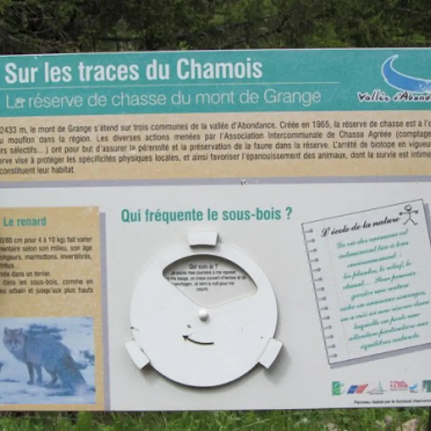 Sur les traces du Chamois