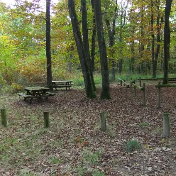 Aire de Pique nique La Garde Forêt de Lespinasse