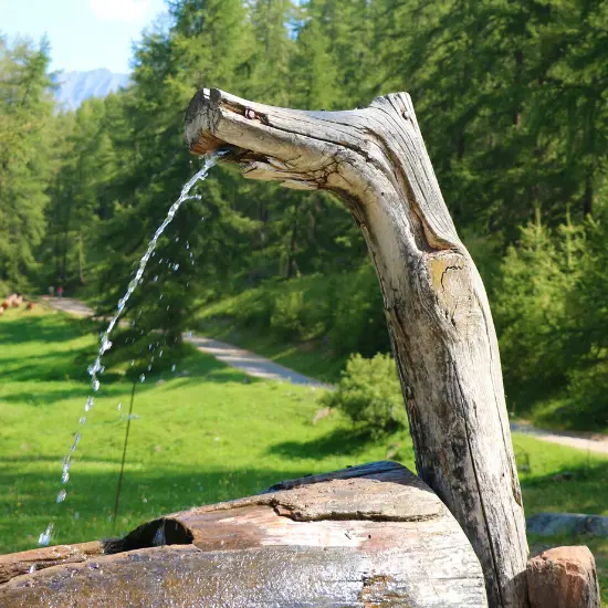 Bergerie Gautier Fontaine