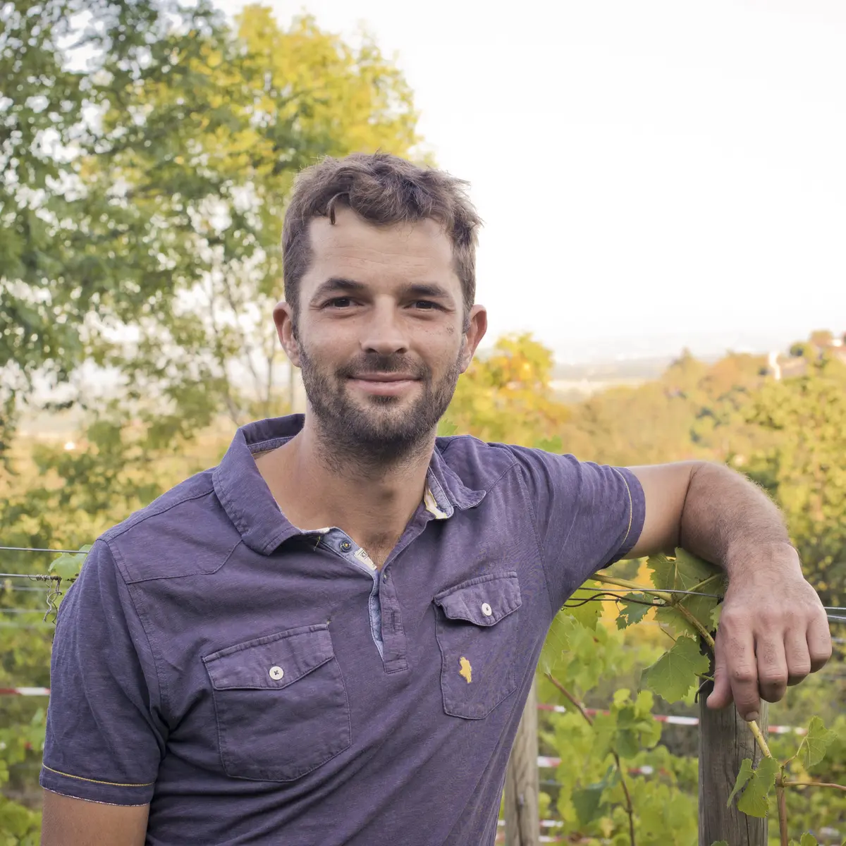 Domaine des Ardaillons