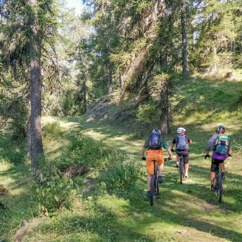Tour du Champsaur VTT