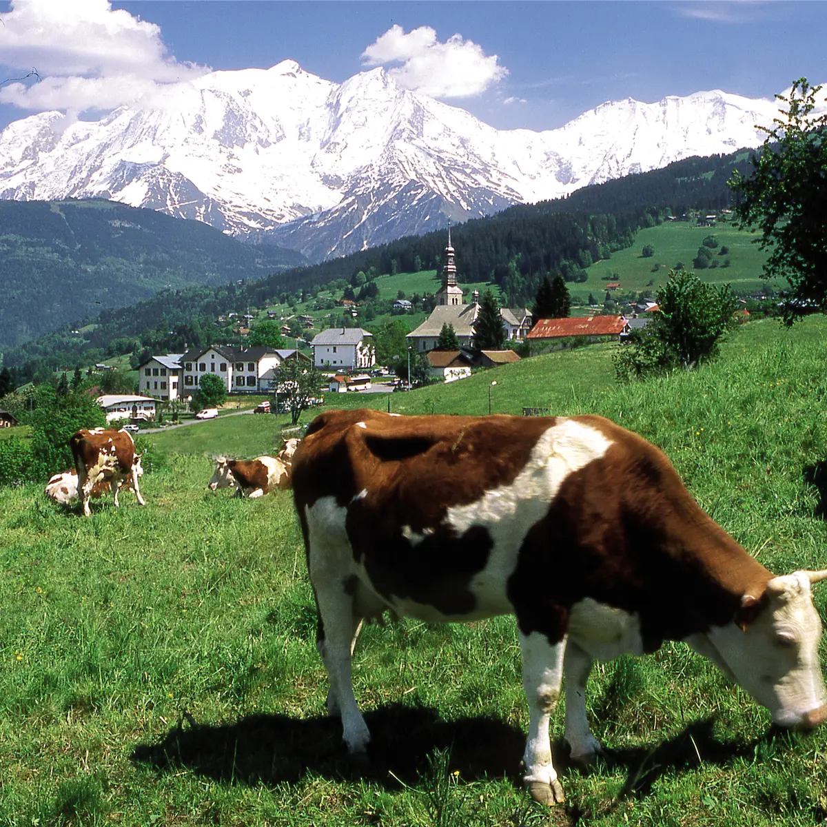 Vue du village de Combloux
